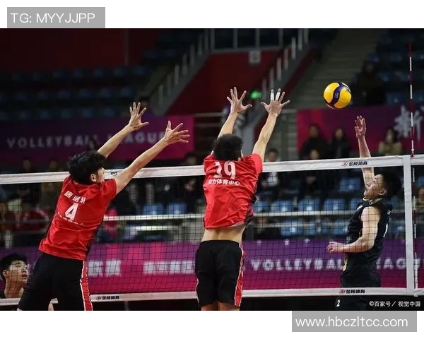 赵娜独家分享排球心得与技巧助你提升球技的秘诀与经验